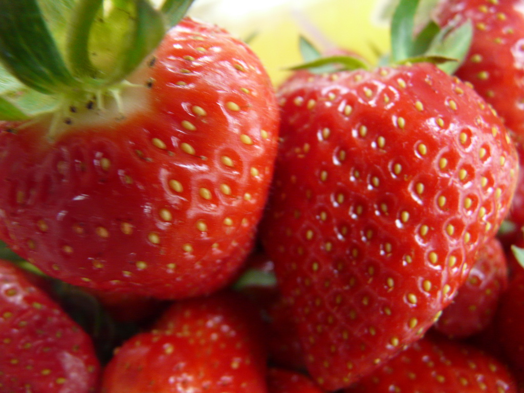 CLERY -  Fraises / Strawverries