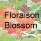 Floraison - Blossoming