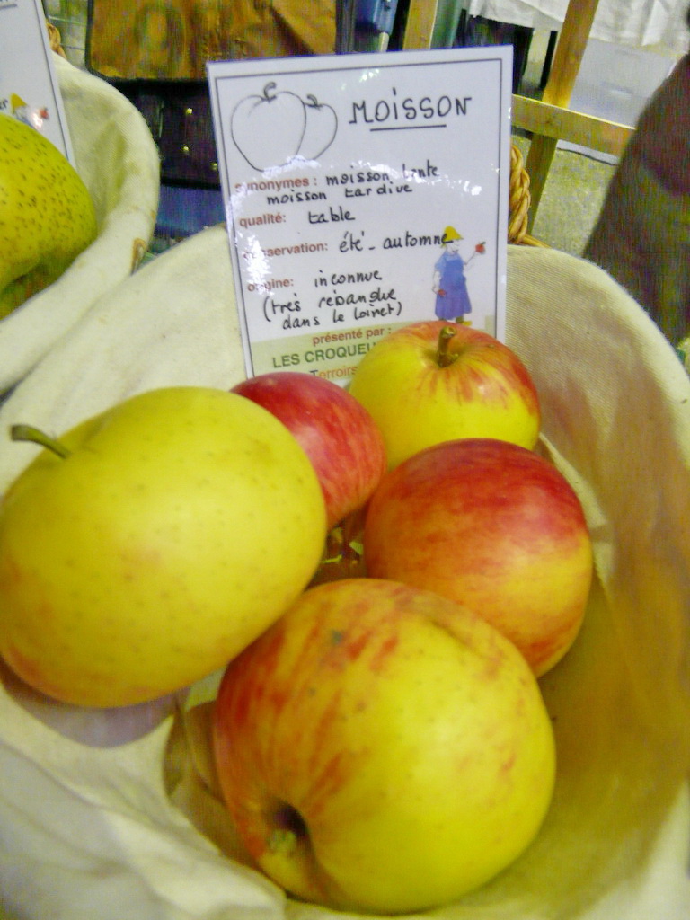 ALICE V  ou Pomme de Verville - Exposé  le 17 novembre à Eurocroq’pom LIMOGES  2013  parr Les Croqueurs de Pommes du Loiret