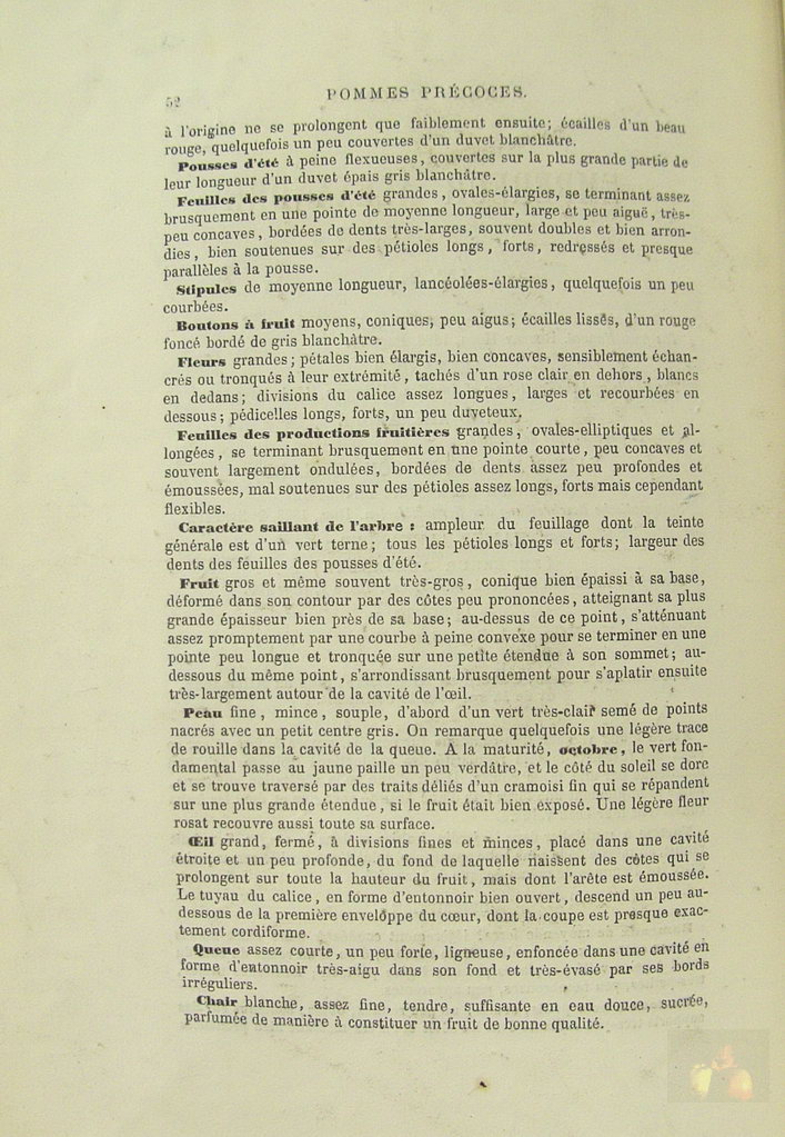 Alphonse MAS - le verger - Tome 4 pommes précoces - 1869 - texte (suite)